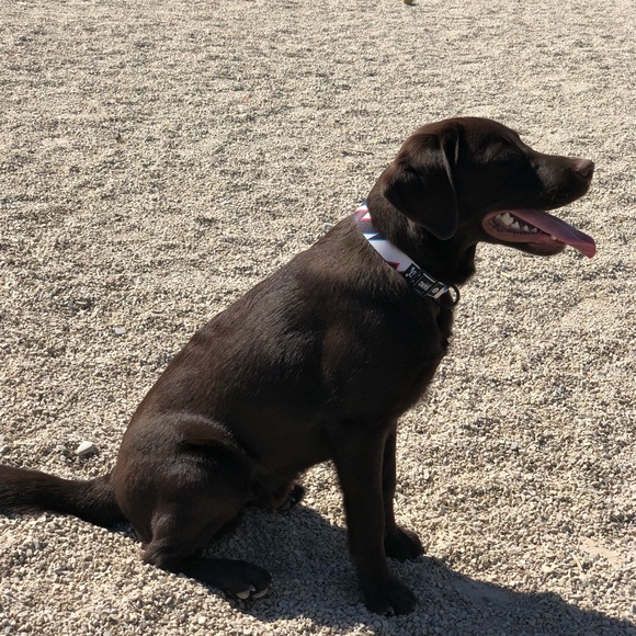 Meet your Posher, Joseph - Picture 1 of 1